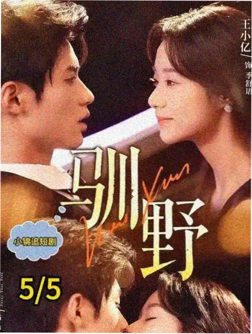 把心事寄给明天 高清剧集封面